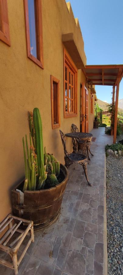 Casa Jardin De Hadas Con Vista Panoramica Pisco Elqui Zewnętrze zdjęcie