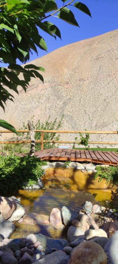 Casa Jardin De Hadas Con Vista Panoramica Pisco Elqui Zewnętrze zdjęcie
