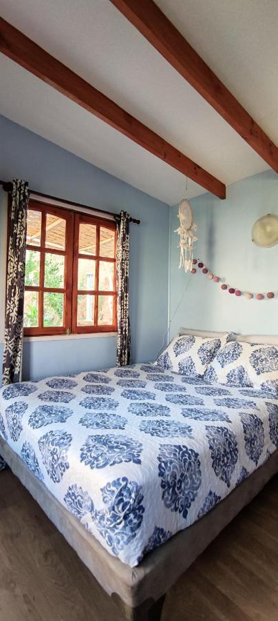 Casa Jardin De Hadas Con Vista Panoramica Pisco Elqui Zewnętrze zdjęcie